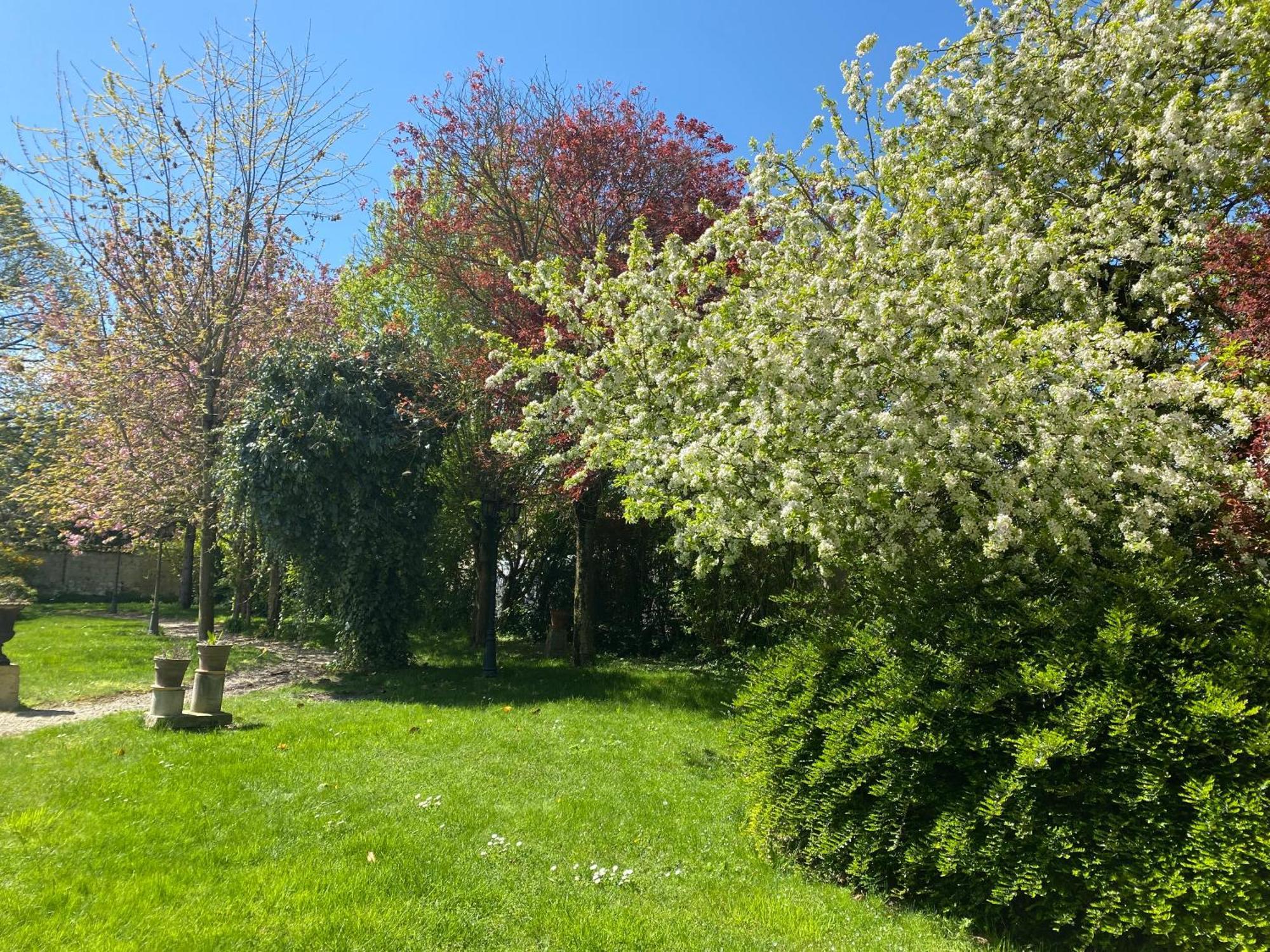 La Closerie Des Sacres Lavannes Esterno foto